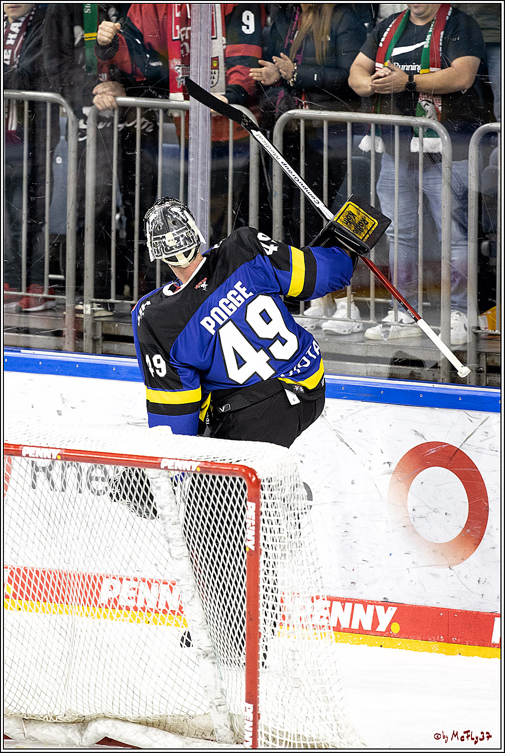 PENNY DEL;  Koelner Haie - Grizzlys Wolfsburg; Koeln, 25.11.2021